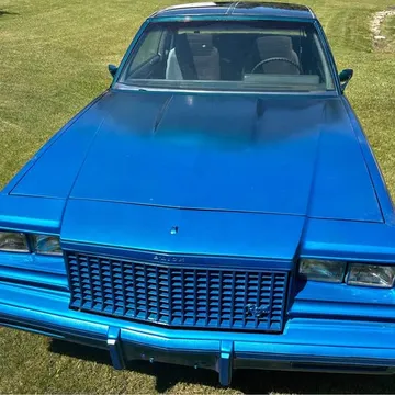 1980 Buick Regal