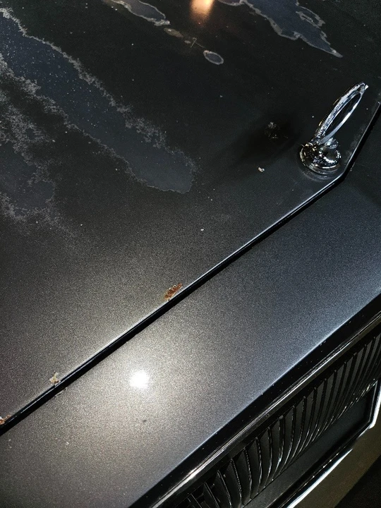 1980 Buick Riviera 4th-7th Gen - Image 28 of 31
