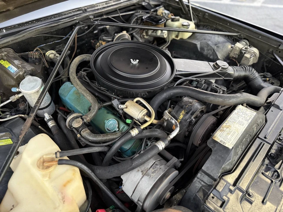 1980 Cadillac Eldorado 10th Gen - Image 16 of 21