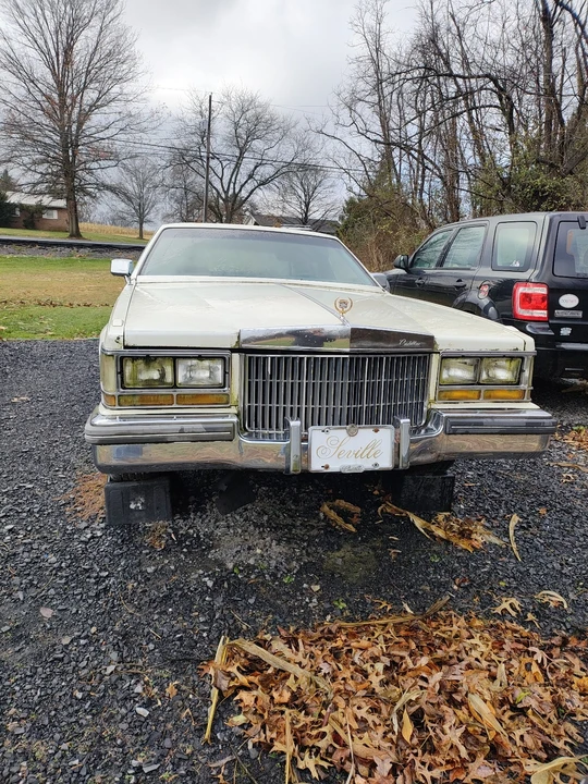 1980 Cadillac Seville - Image 5 of 12
