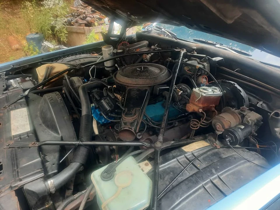 1980 Cadillac Brougham - Image 5 of 18