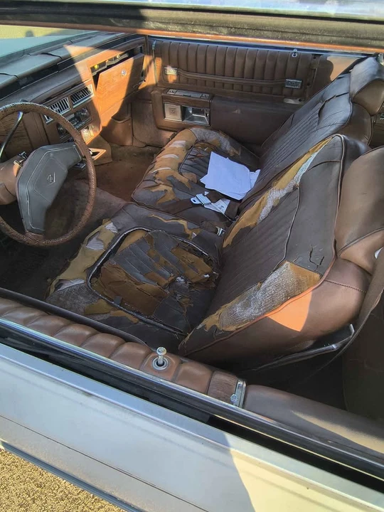 1980 Cadillac DeVille 5th Gen - Image 3 of 6