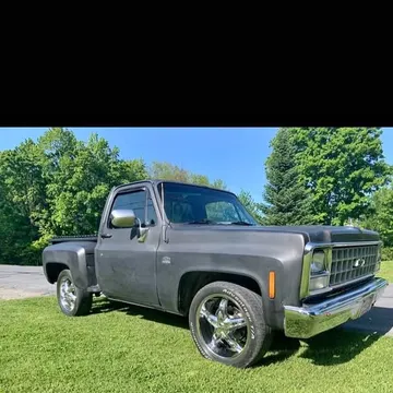 1980 Chevrolet 1500 Regular Cab