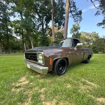1980 Chevrolet C10 Custom