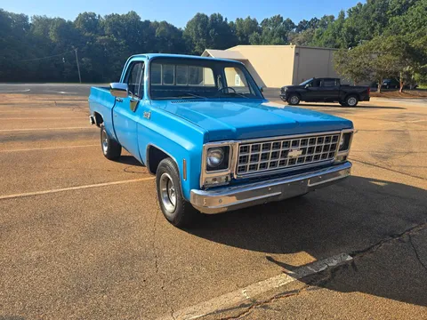 1980 Chevrolet C10 Pickup