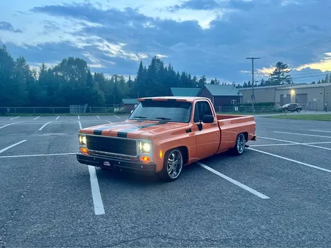 1980 Chevrolet Silverado 1500 Regular Cab