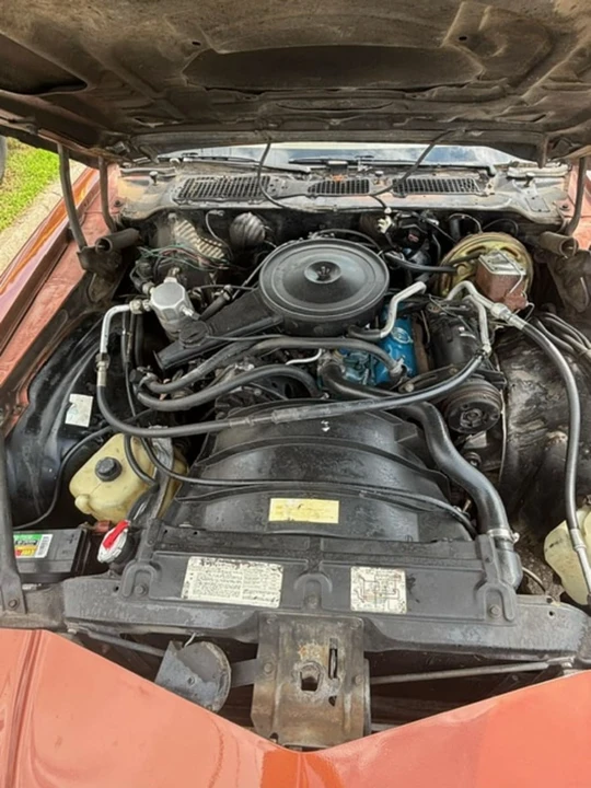 1980 Chevrolet Camaro 2nd Gen - Image 8 of 8