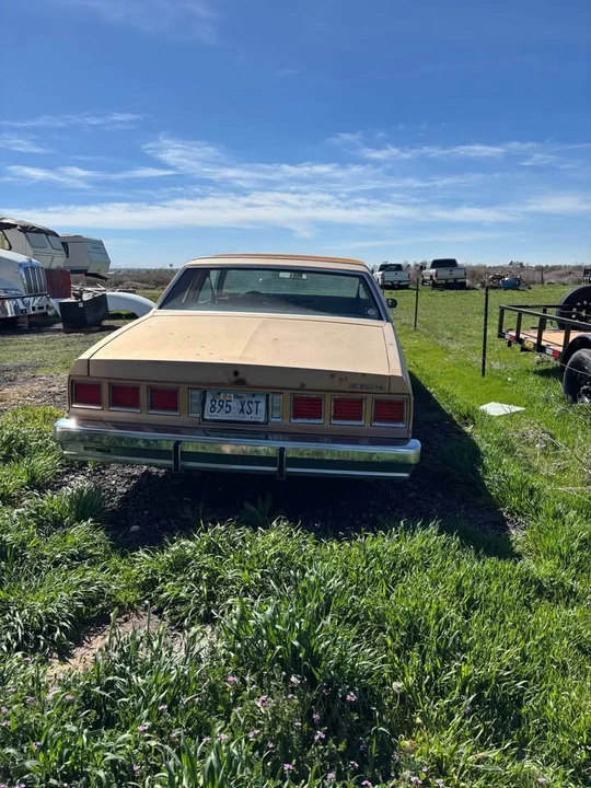 1980 Chevrolet Caprice - Image 3 of 6
