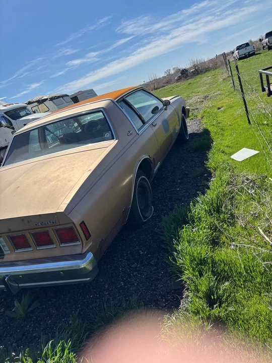 1980 Chevrolet Caprice - Image 2 of 6