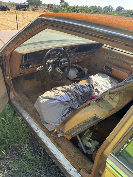 1980 Chevrolet Caprice - Image 5 of 6