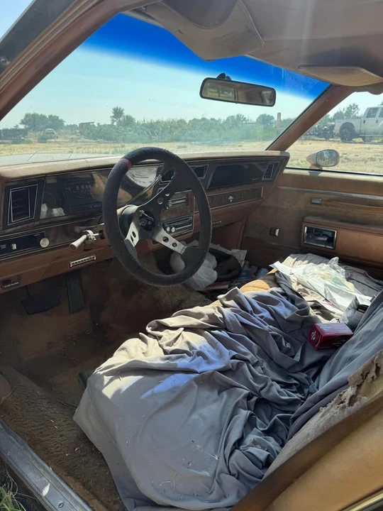 1980 Chevrolet Caprice - Image 4 of 6