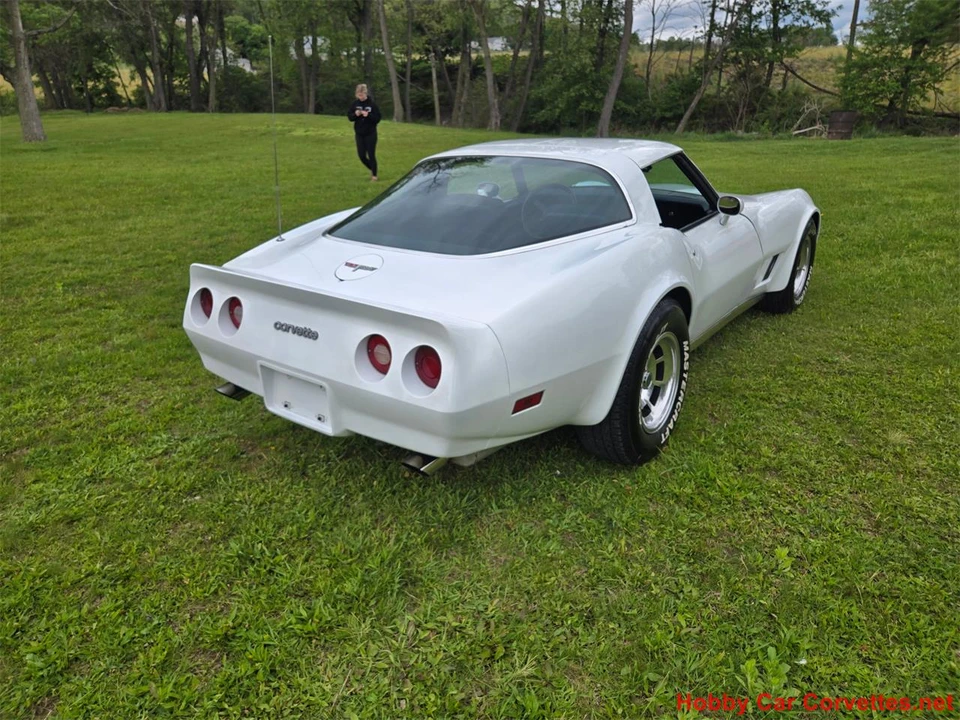 1980 Chevrolet Corvette C3 - Image 6 of 31
