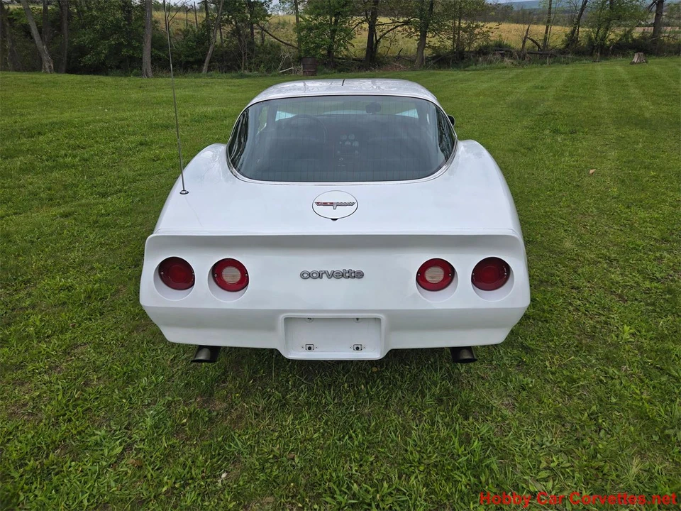 1980 Chevrolet Corvette C3 - Image 9 of 31