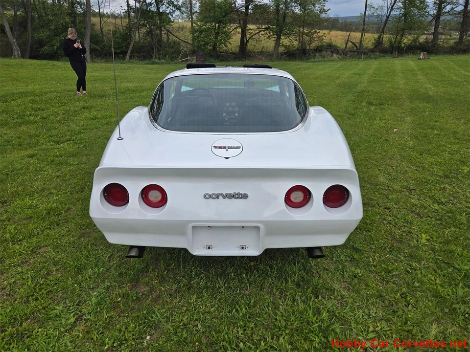 1980 Chevrolet Corvette C3 - Image 14 of 31