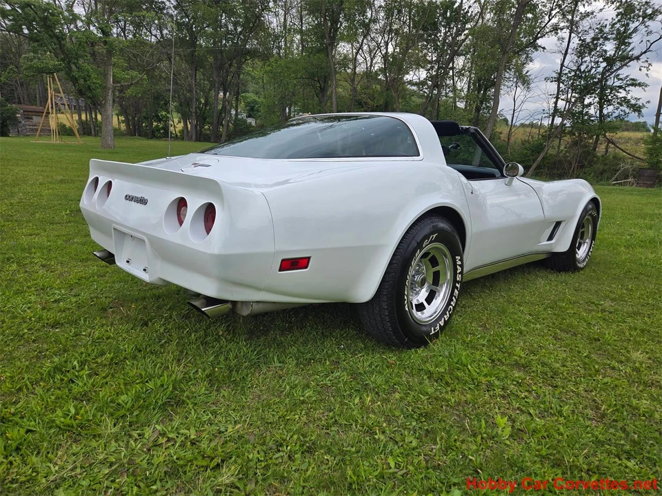 1980 Chevrolet Corvette C3 - Image 15 of 31