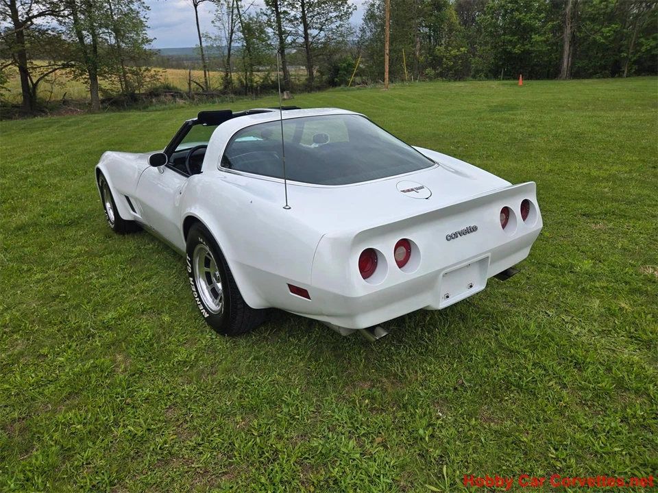 1980 Chevrolet Corvette C3 - Image 17 of 31