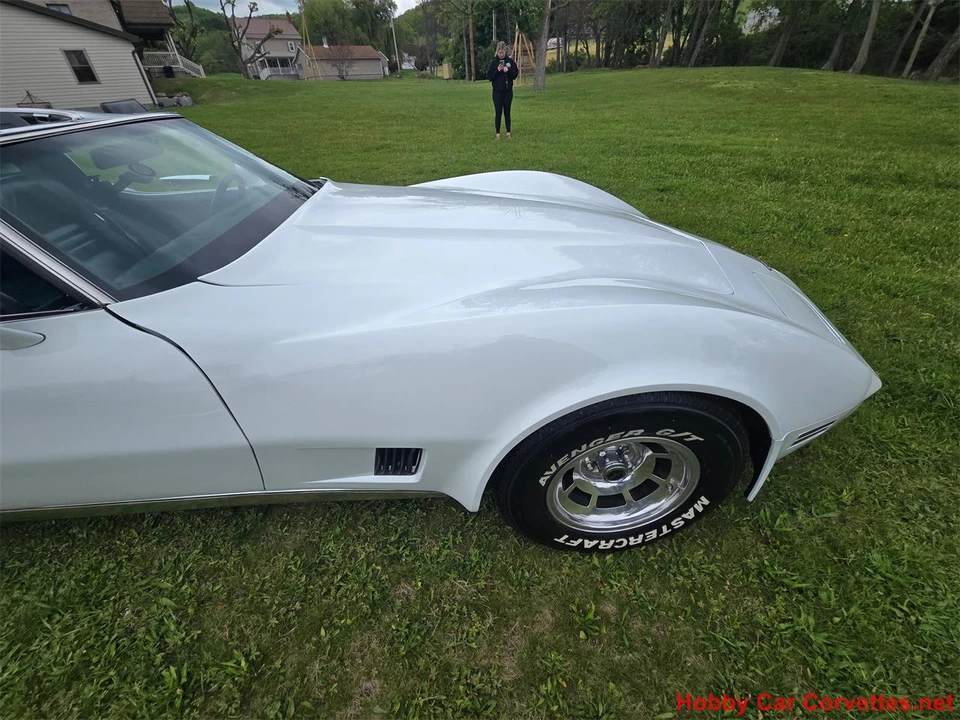 1980 Chevrolet Corvette C3 - Image 19 of 31