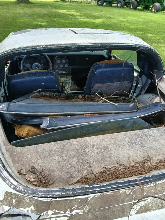 1980 Chevrolet Corvette C3 - Image 3 of 10