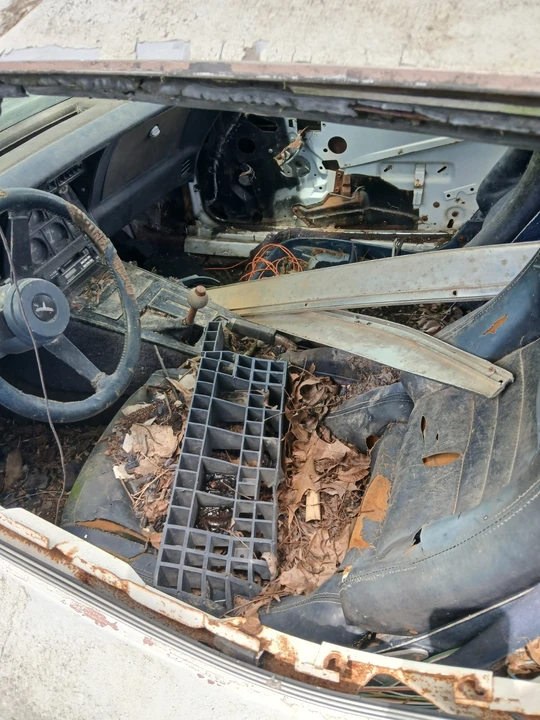 1980 Chevrolet Corvette C3 - Image 2 of 10