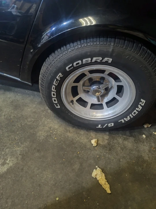 1980 Chevrolet Corvette C3 - Image 6 of 11