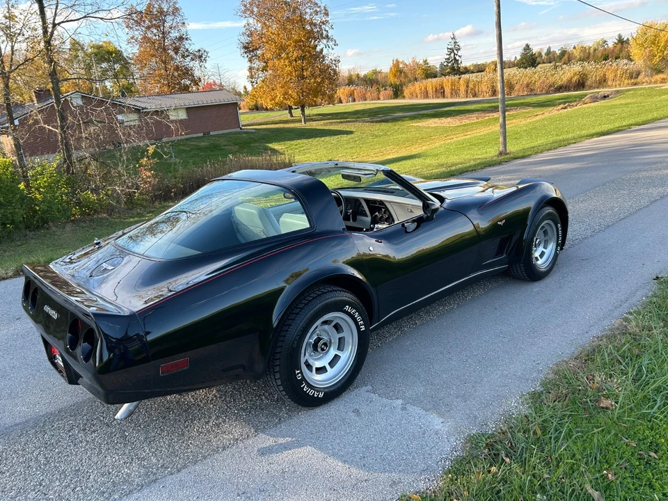 1980 Chevrolet Corvette C3 - Image 10 of 21
