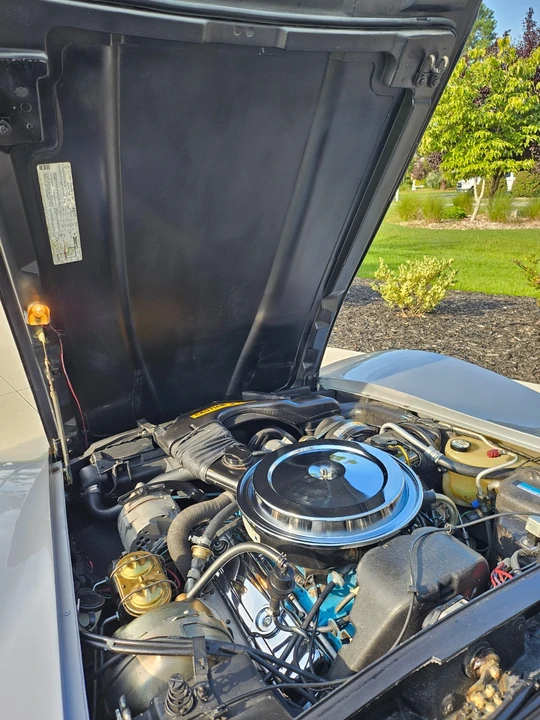 1980 Chevrolet Corvette C3 - Image 12 of 31