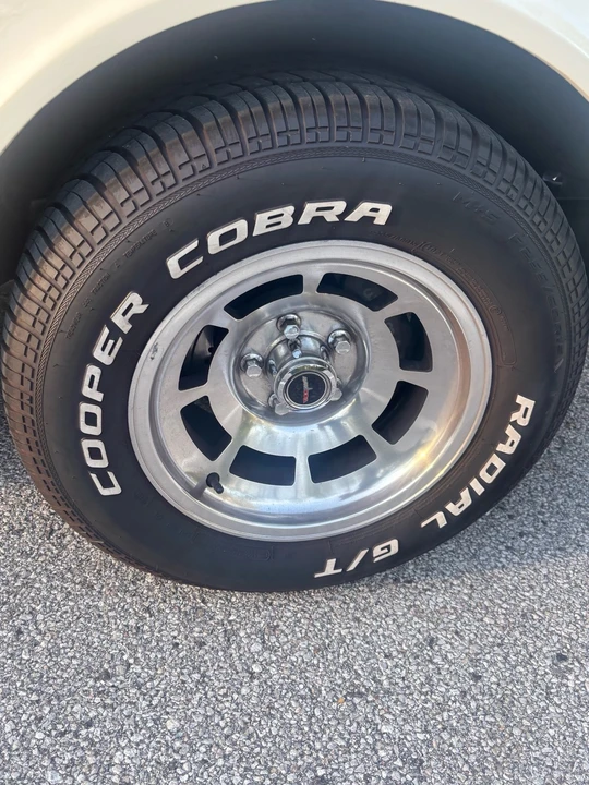 1980 Chevrolet Corvette C3 - Image 15 of 31