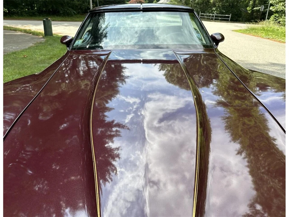 1980 Chevrolet Corvette C3 - Image 11 of 31