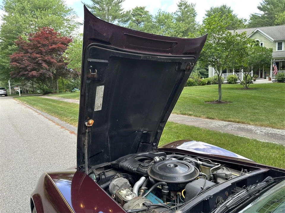 1980 Chevrolet Corvette C3 - Image 16 of 31