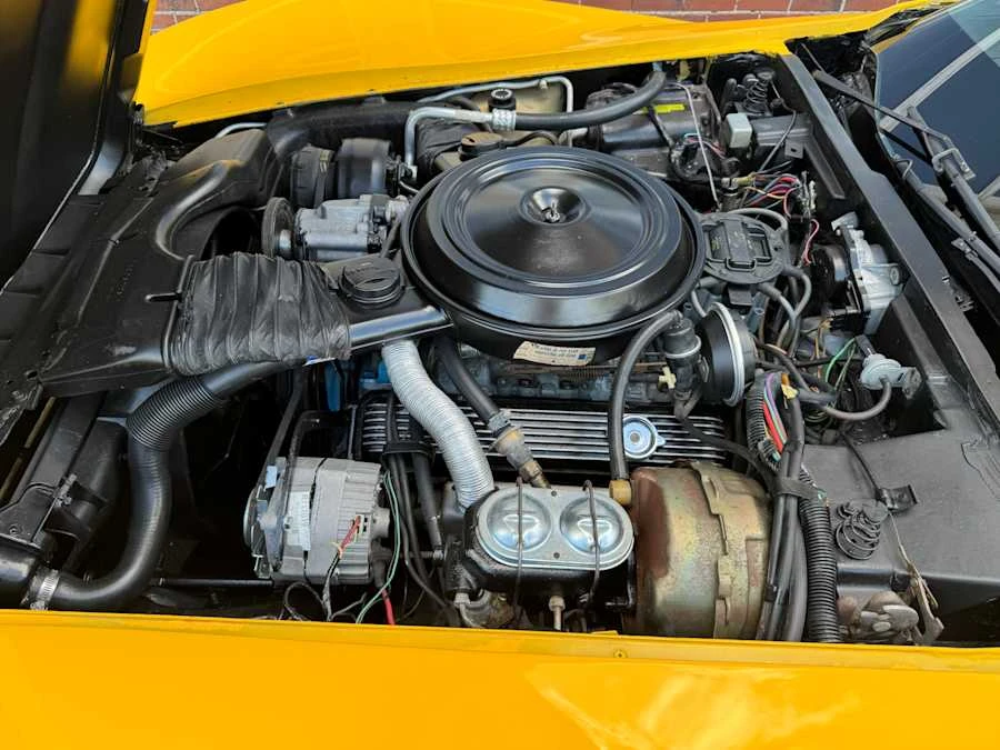 1980 Chevrolet Corvette C3 - Image 10 of 10