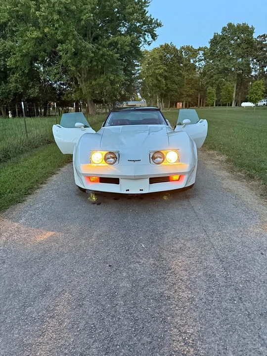 1980 Chevrolet Corvette C3 - Image 1 of 13