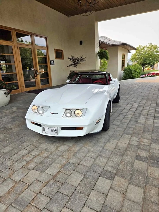 1980 Chevrolet Corvette C3 - Image 1 of 13