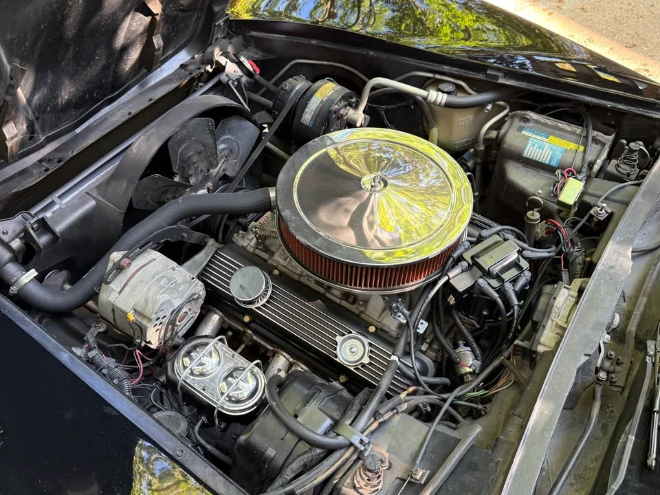 1980 Chevrolet Corvette C3 - Image 4 of 9