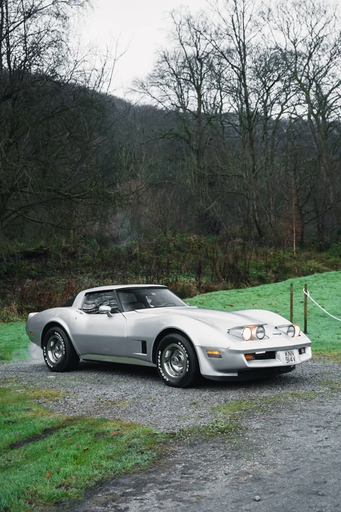 1980 Chevrolet Corvette C3 - Image 22 of 31