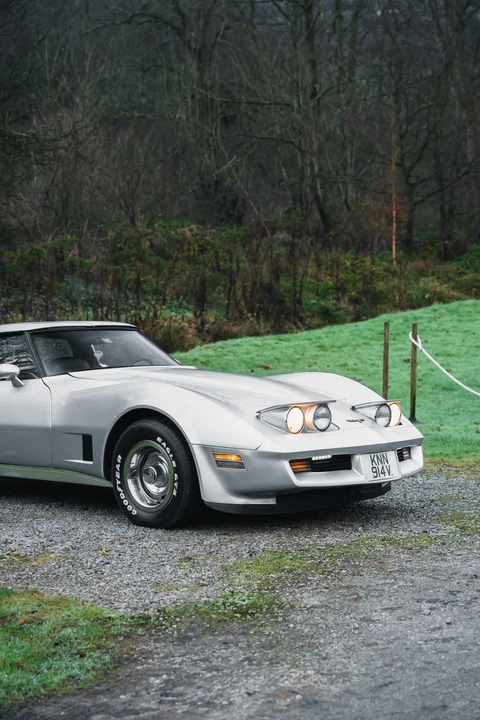 1980 Chevrolet Corvette C3 - Image 23 of 31