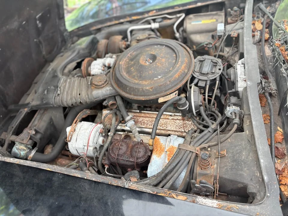 1980 Chevrolet Corvette C3 - Image 13 of 19