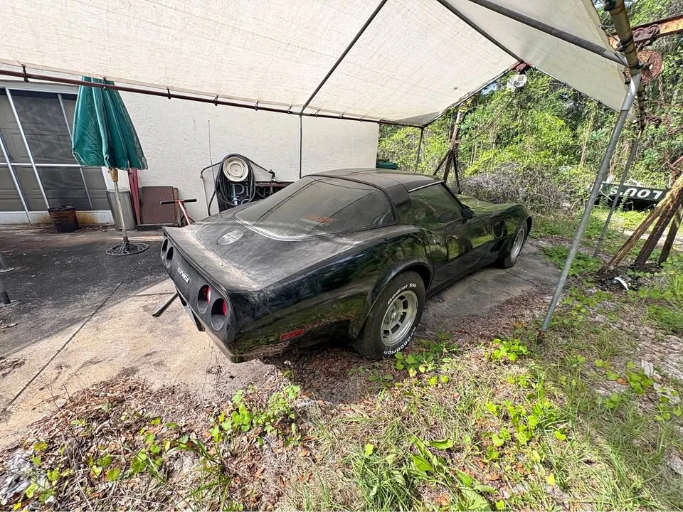 1980 Chevrolet Corvette C3 - Image 1 of 19