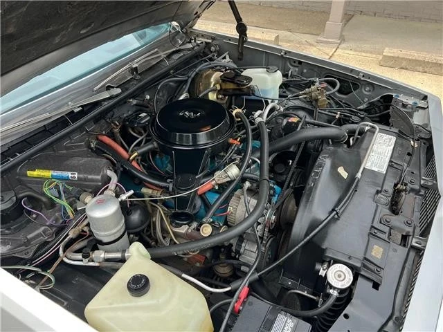1980 Chevrolet Malibu - Image 6 of 21