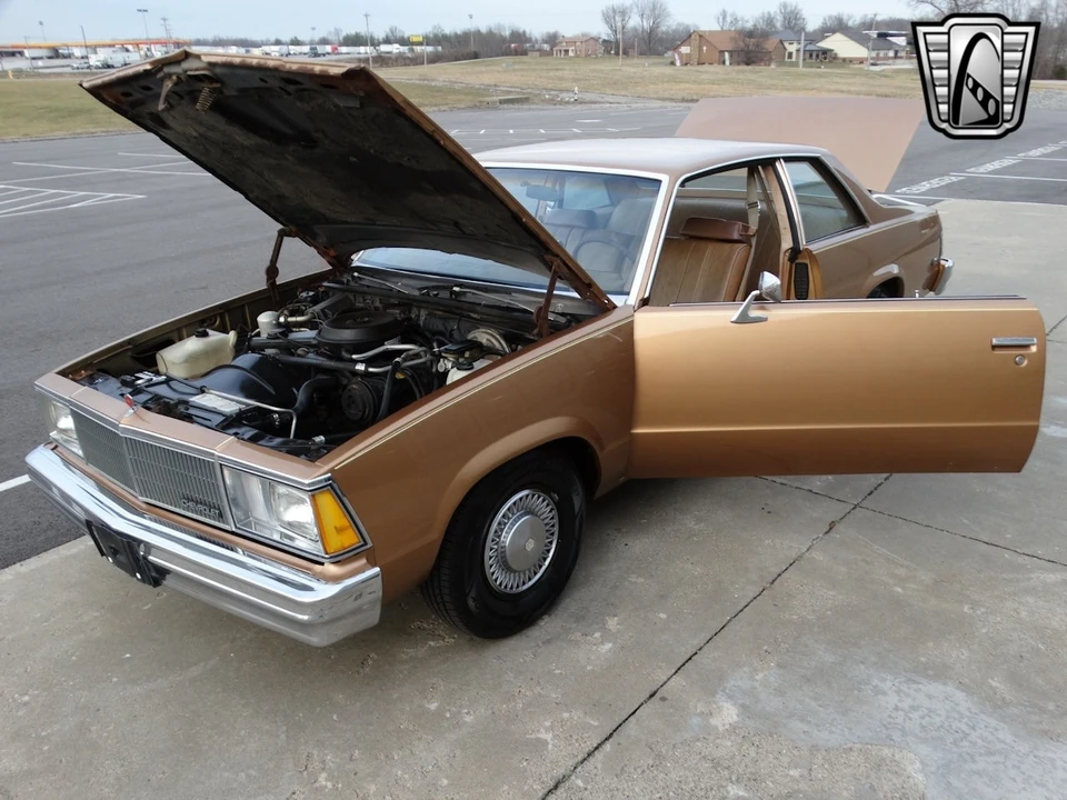 1980 Chevrolet Malibu - Image 13 of 21