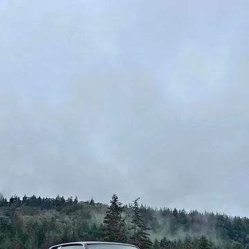 1980 Chevrolet Malibu