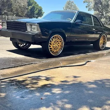 1980 Chevrolet Malibu SS