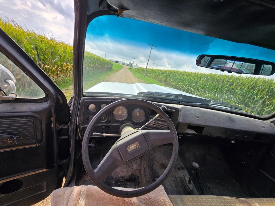 1980 Chevrolet Silverado - Image 6 of 12