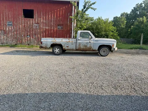 1980 Chevrolet Silverado 1500 Regular Cab C10