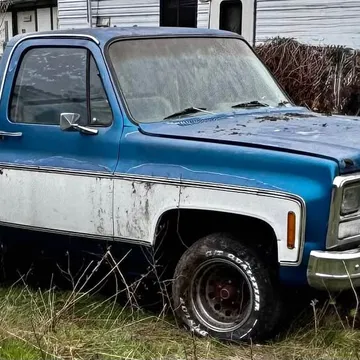 1980 Chevrolet C-10