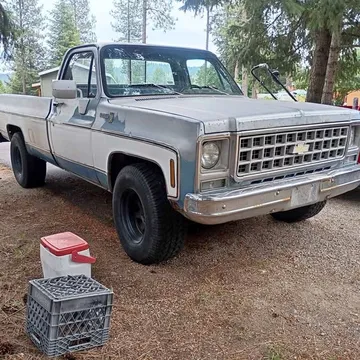 1980 Chevrolet C10 2WD