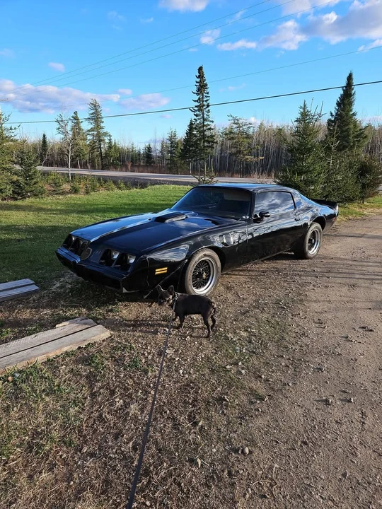 1980 Chevrolet Camaro 2nd Gen - Image 3 of 3