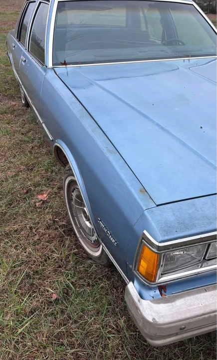 1980 Chevrolet Caprice - Image 4 of 13