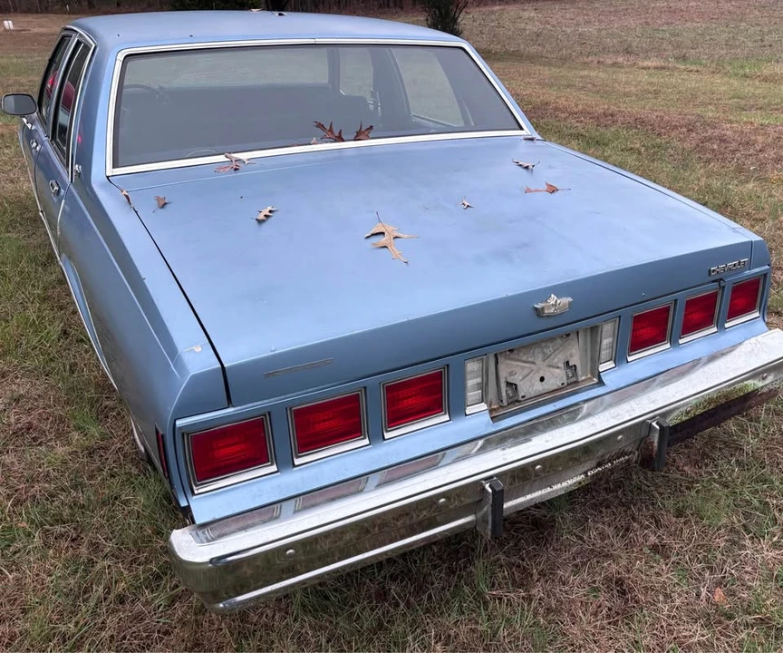 1980 Chevrolet Caprice - Image 8 of 13