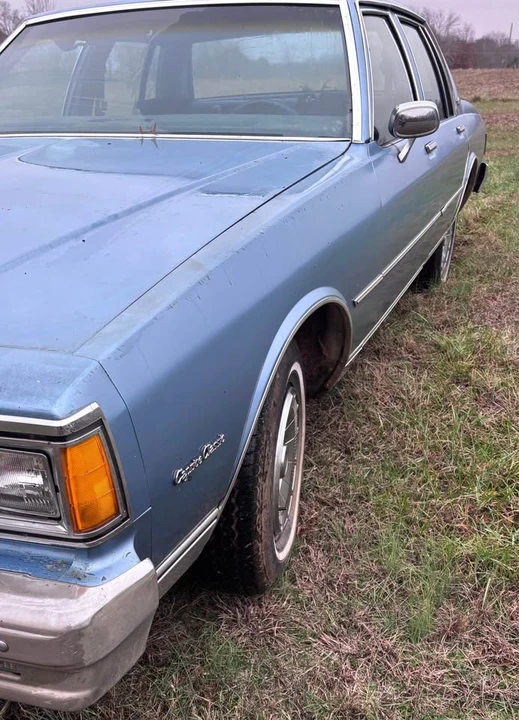 1980 Chevrolet Caprice - Image 2 of 13