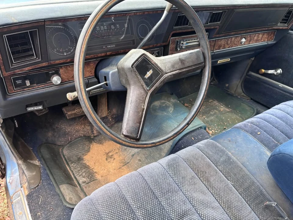 1980 Chevrolet Caprice - Image 12 of 13